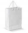Glossy Paper Bag LARGE: 30x12x40cm