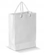 Glossy Paper Bag SMALL: 18x8x24cm